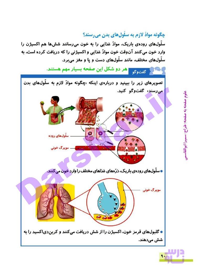 پاسخ درس ده علوم چهارم  صفحه 8