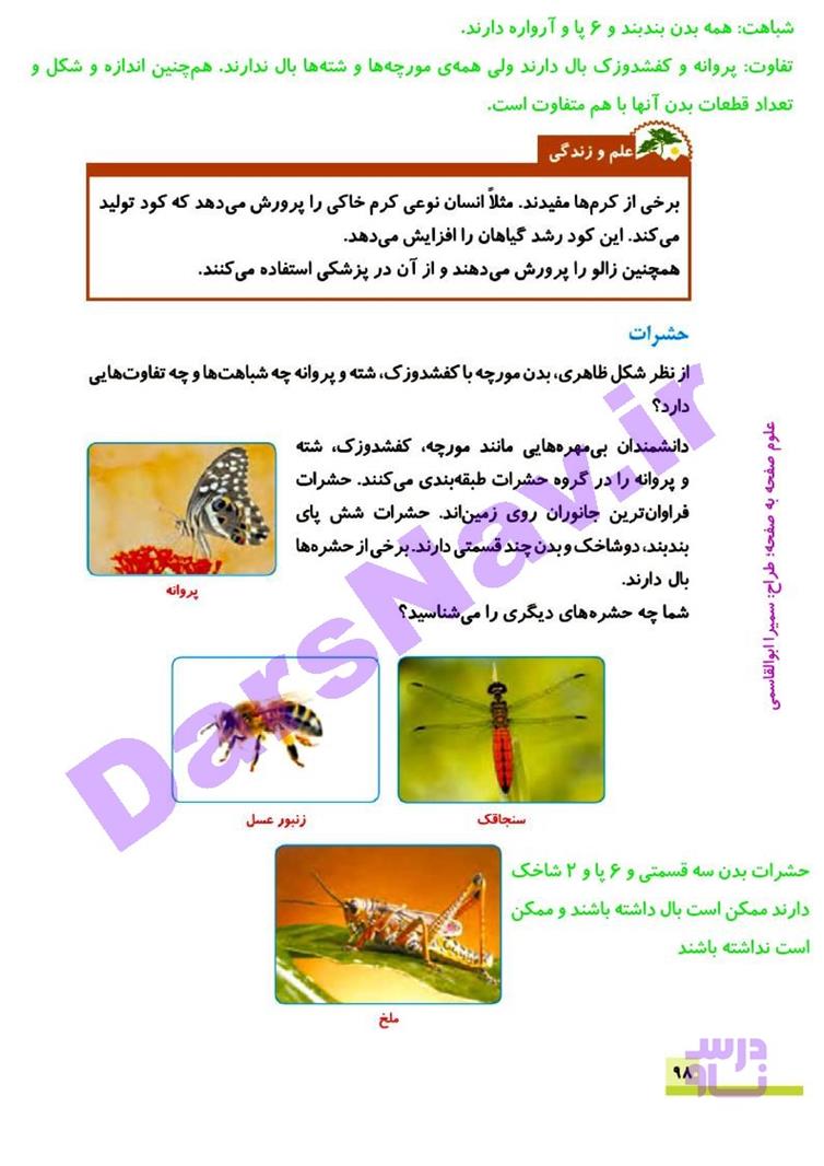 پاسخ درس 11 علوم چهارم  صفحه 6