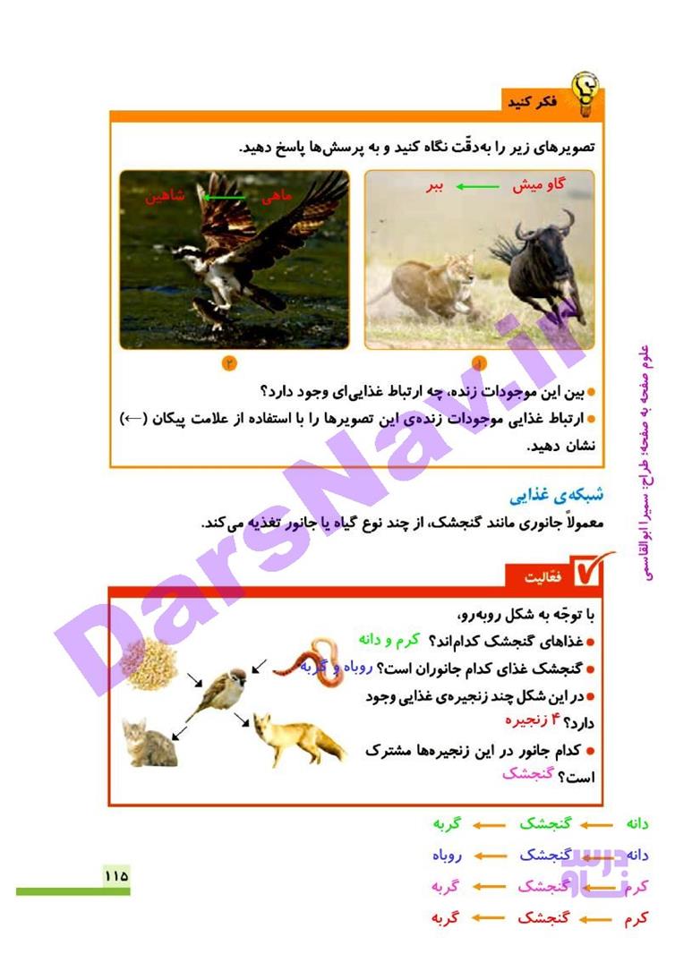 پاسخ درس سیزده علوم چهارم  صفحه 5