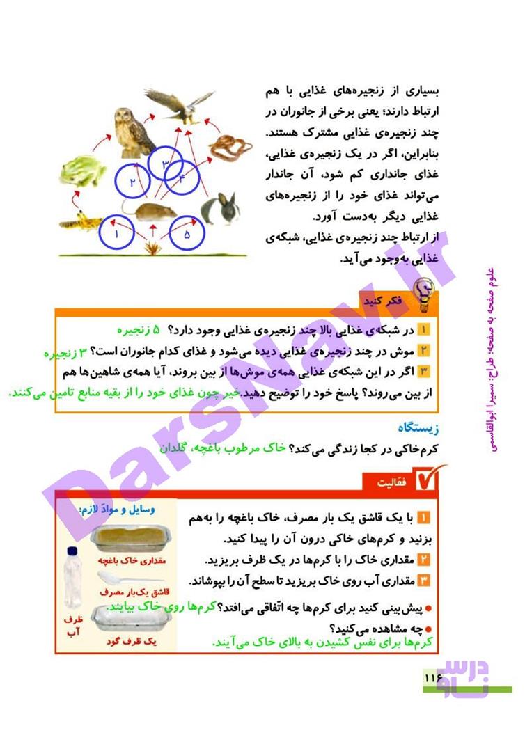 پاسخ درس سیزده علوم چهارم  صفحه 6