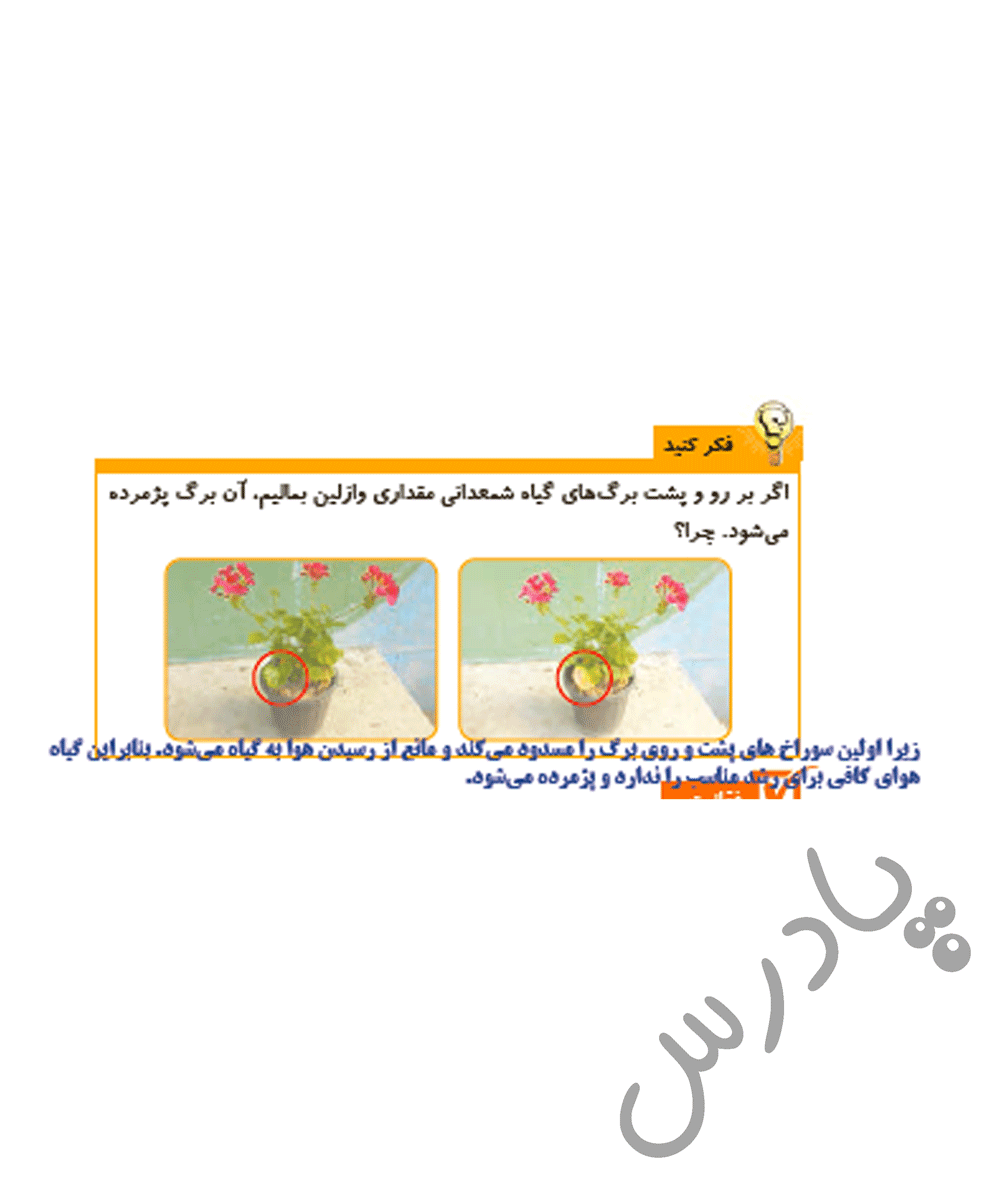 پاسخ درس دوازده علوم پنجم  صفحه 4