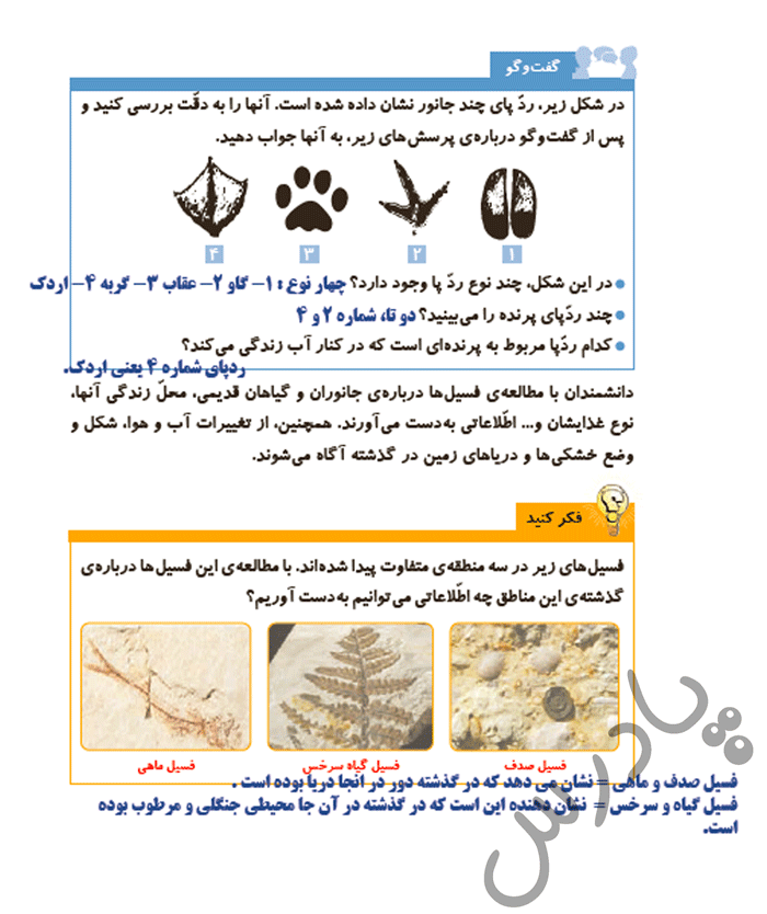 پاسخ درس 4 علوم پنجم  صفحه 5