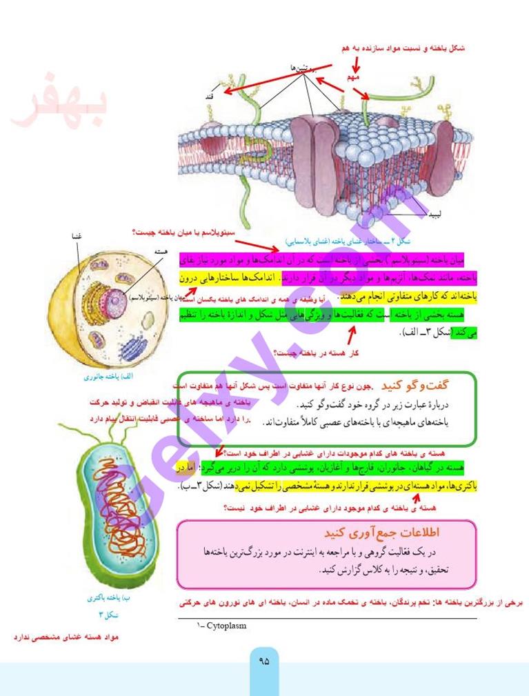 پاسخ فصل 11 علوم هفتم  صفحه 2