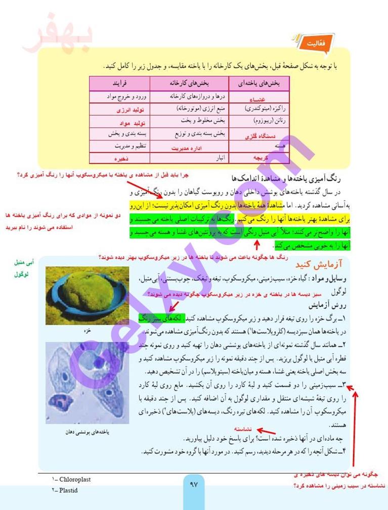 پاسخ فصل 11 علوم هفتم  صفحه 4