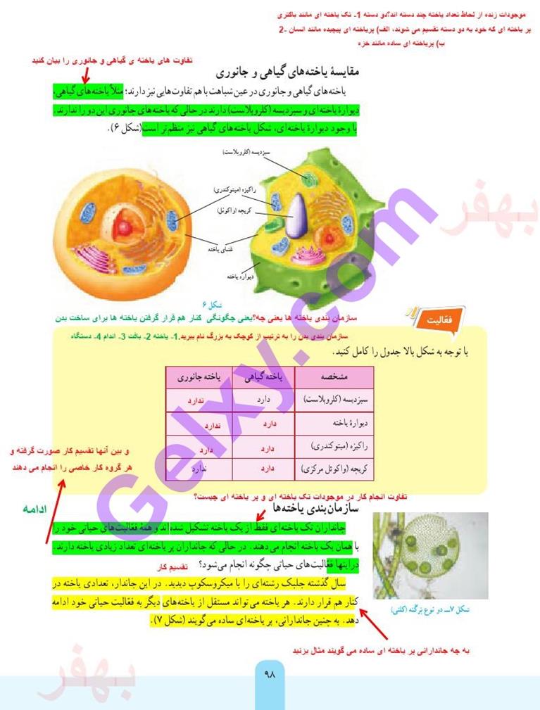 پاسخ فصل یازده علوم هفتم  صفحه 5