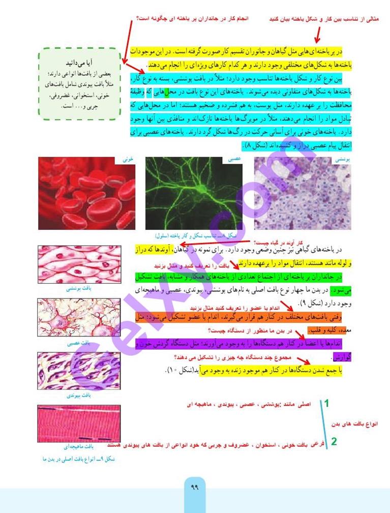 پاسخ فصل یازده علوم هفتم  صفحه 6