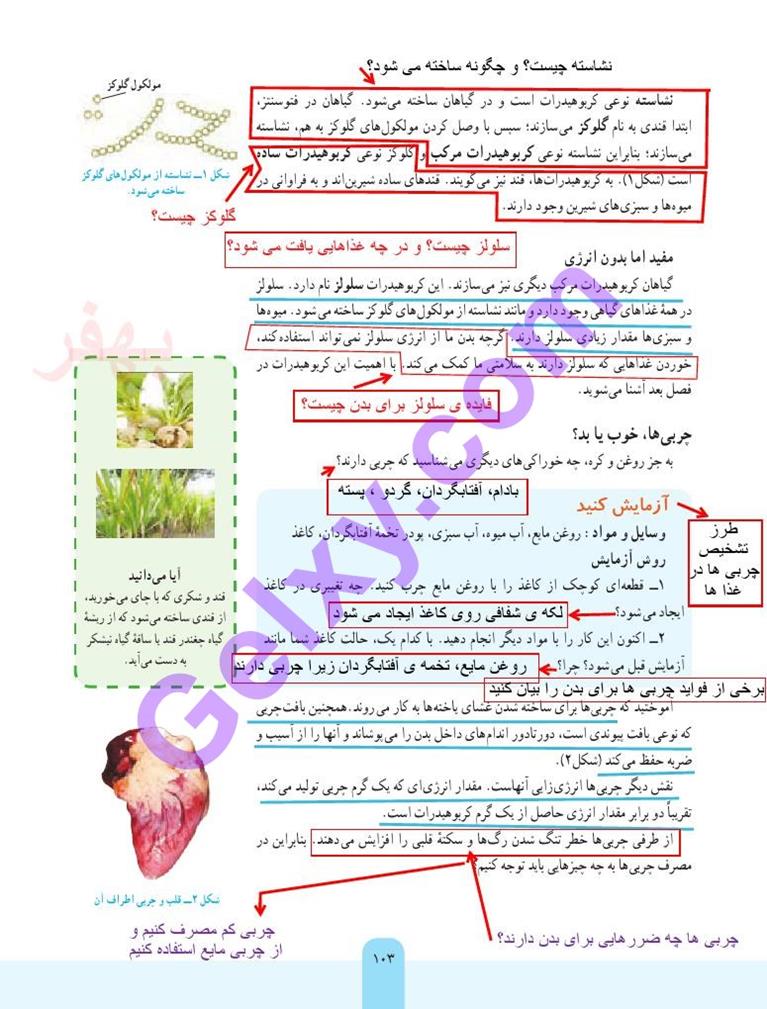 پاسخ فصل دوازده علوم هفتم  صفحه 2