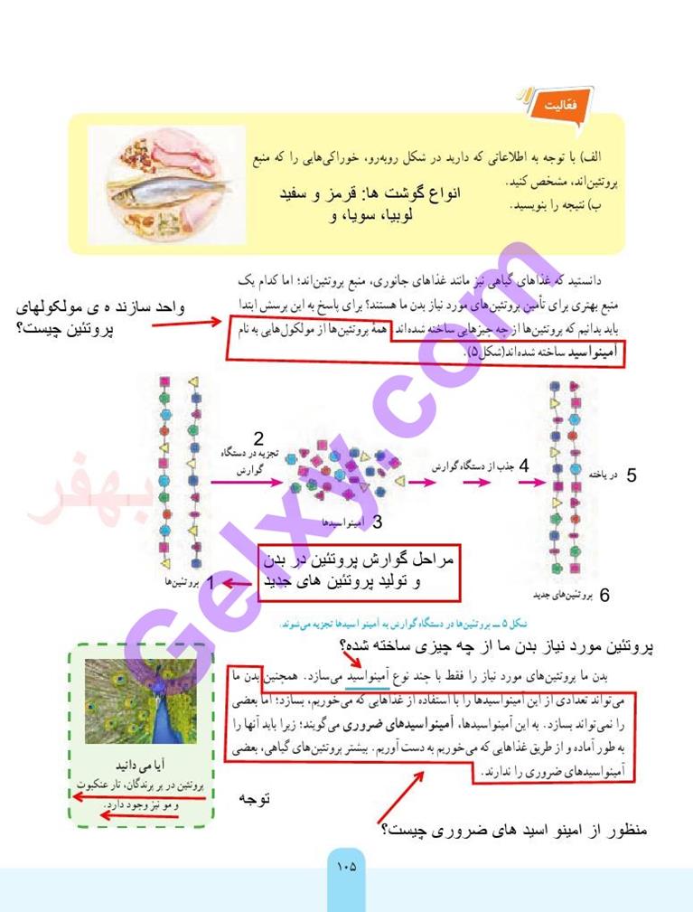 پاسخ فصل 12 علوم هفتم  صفحه 4