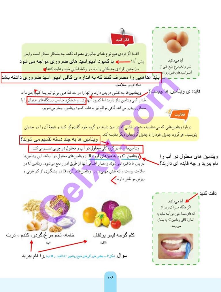 پاسخ فصل 12 علوم هفتم  صفحه 5