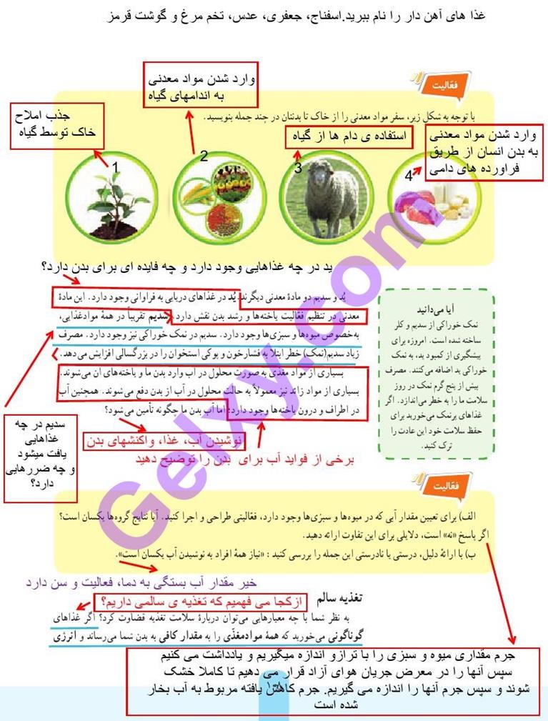 پاسخ فصل 12 علوم هفتم  صفحه 7