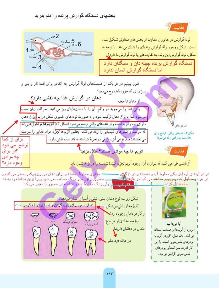 پاسخ فصل سیزده علوم هفتم  صفحه 2