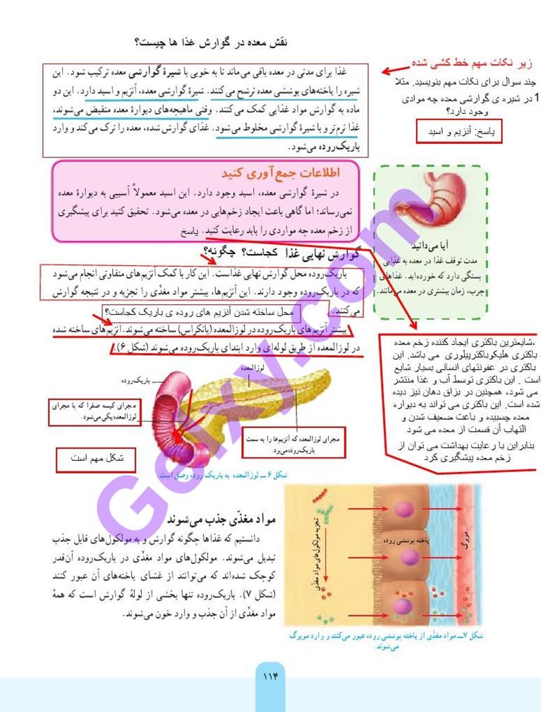 پاسخ فصل 13 علوم هفتم  صفحه 4