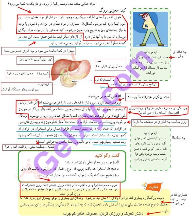 پاسخ فصل سیزده علوم هفتم  صفحه 6