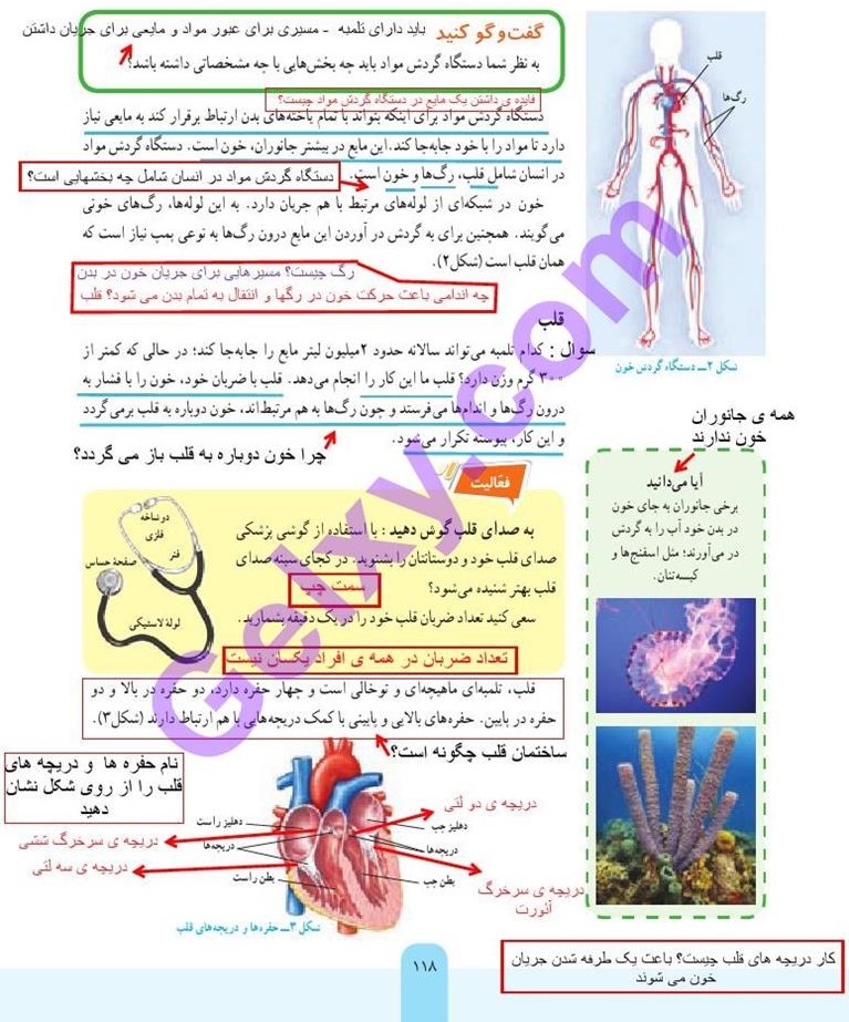 پاسخ فصل چهارده علوم هفتم  صفحه 1