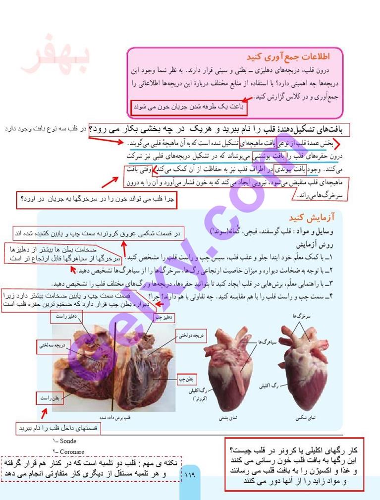 پاسخ فصل چهارده علوم هفتم  صفحه 2