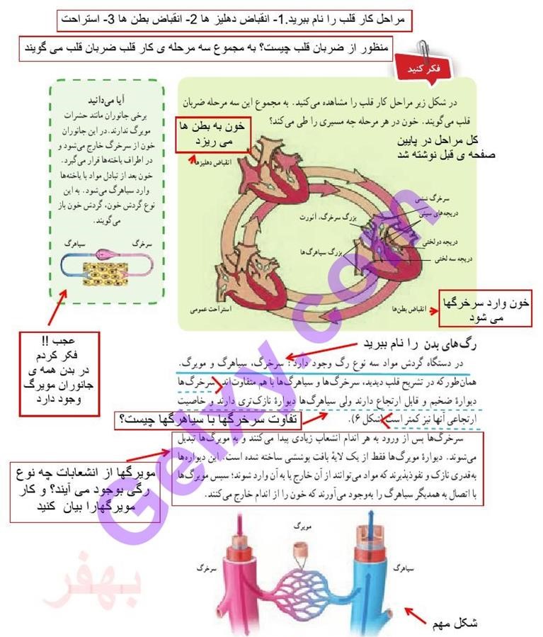 پاسخ فصل 14 علوم هفتم  صفحه 4