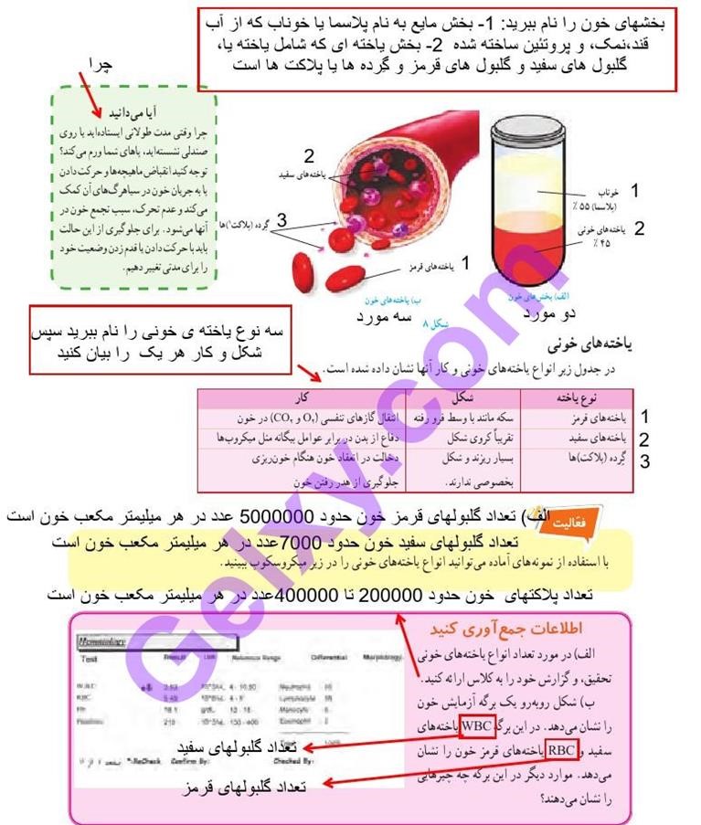 پاسخ فصل چهارده علوم هفتم  صفحه 6