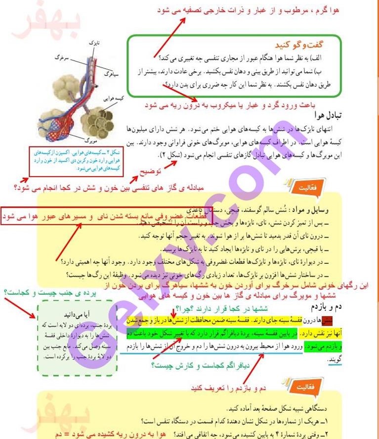 پاسخ فصل پانزده علوم هفتم  صفحه 1