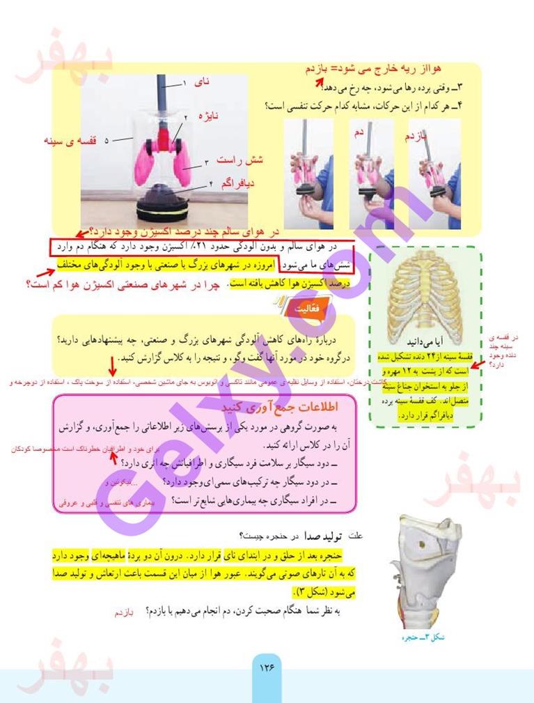 پاسخ فصل پانزده علوم هفتم  صفحه 2