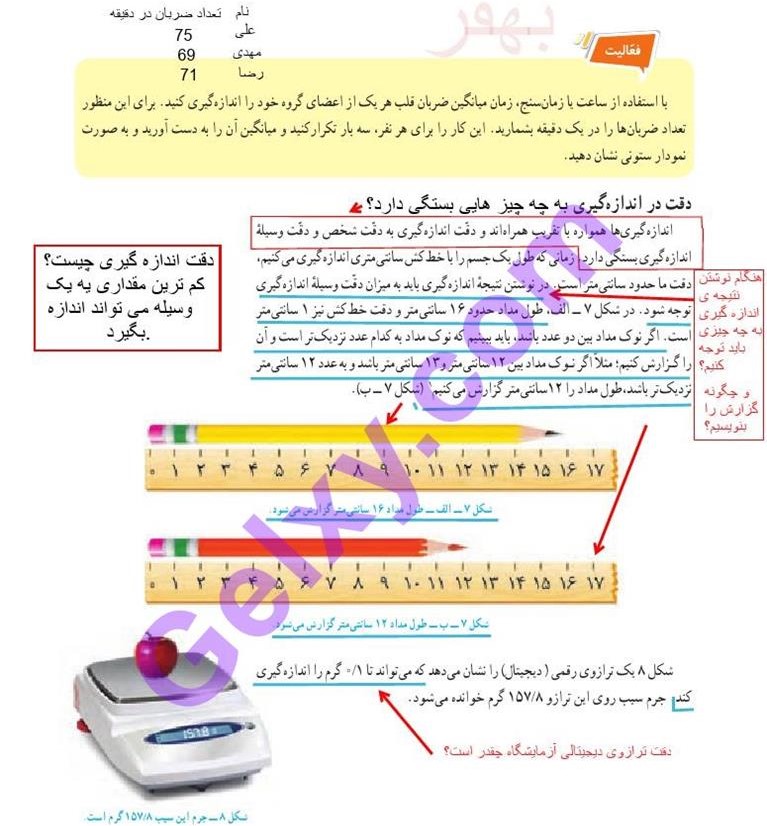 پاسخ فصل دو علوم هفتم  صفحه 5