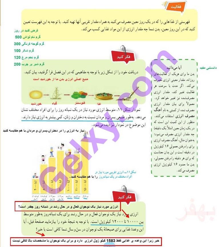 پاسخ فصل 8 علوم هفتم  صفحه 9