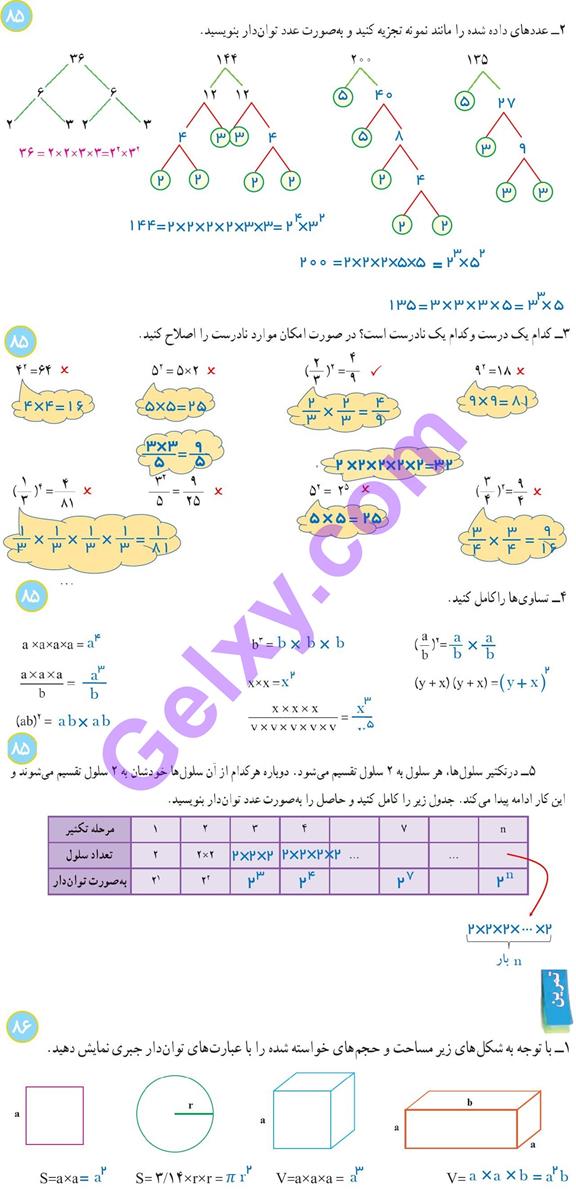 پاسخ فصل 7 ریاضی هفتم  صفحه 2