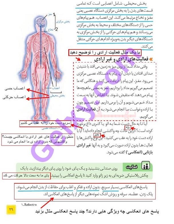 پاسخ فصل چهار علوم هشتم  صفحه 1