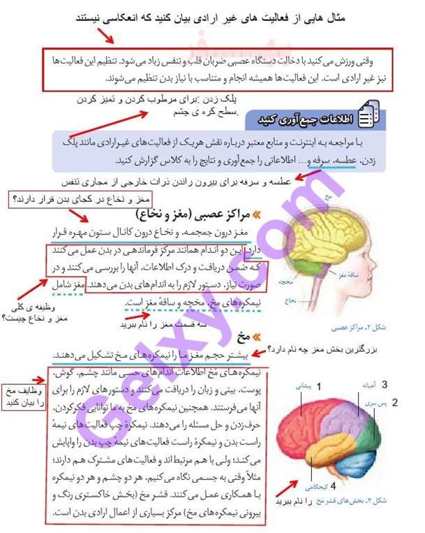 پاسخ فصل چهار علوم هشتم  صفحه 2