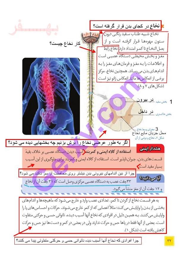 پاسخ فصل چهار علوم هشتم  صفحه 4