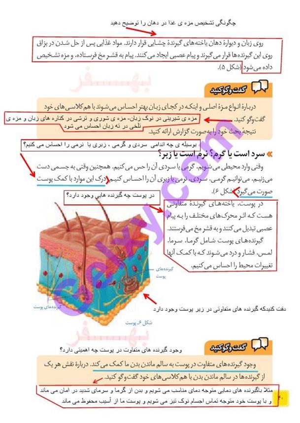 پاسخ فصل پنج علوم هشتم  صفحه 5