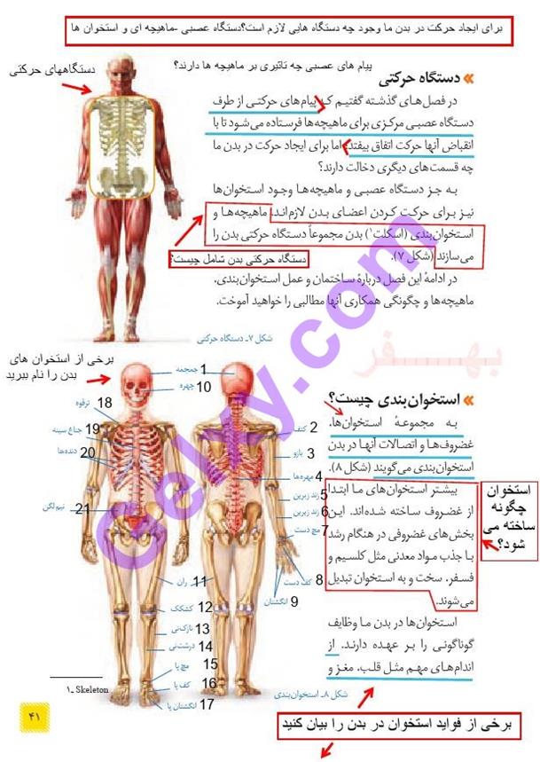 پاسخ فصل 5 علوم هشتم  صفحه 6