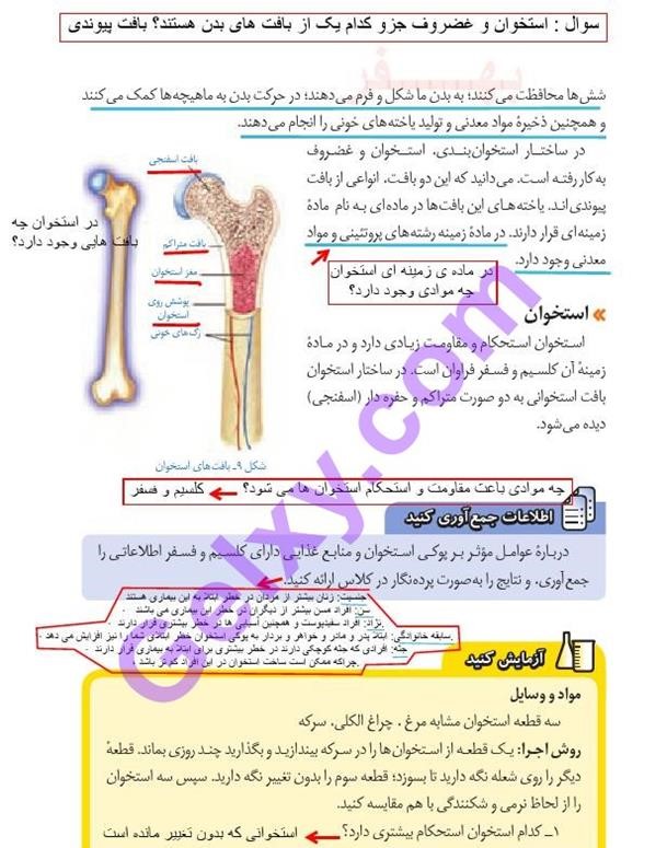 پاسخ فصل 5 علوم هشتم  صفحه 7