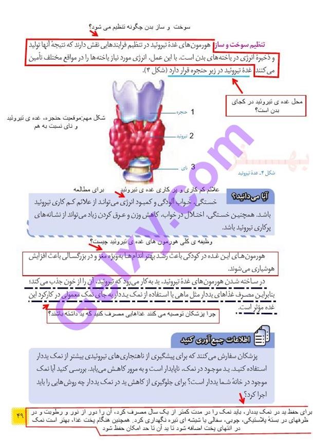 پاسخ فصل شش علوم هشتم  صفحه 2