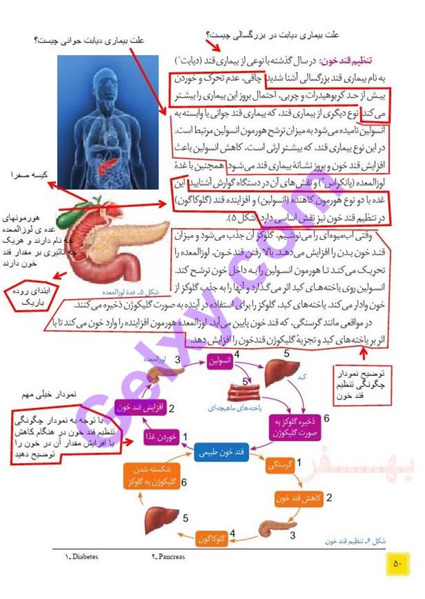 پاسخ فصل شش علوم هشتم  صفحه 3