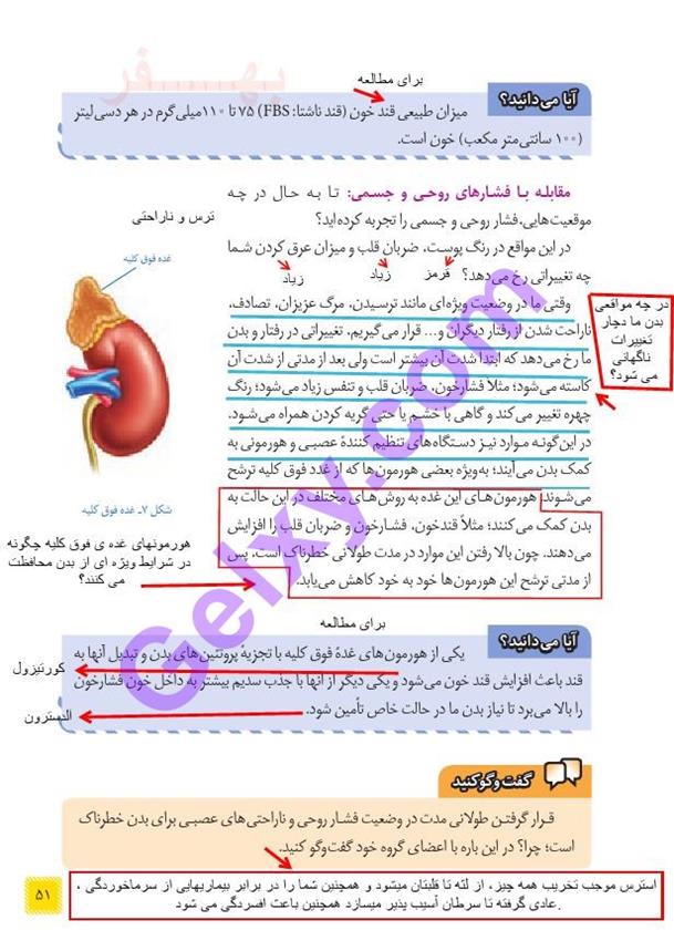 پاسخ فصل شش علوم هشتم  صفحه 4