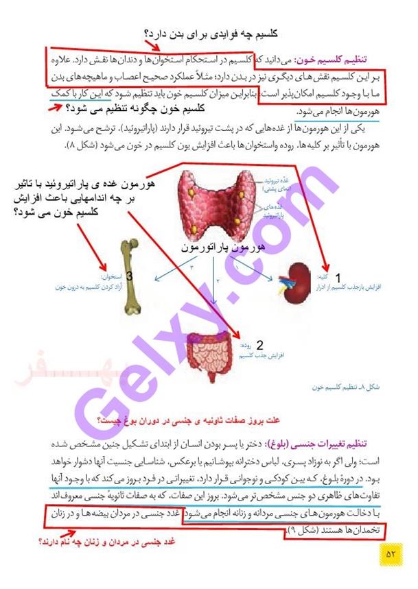 پاسخ فصل شش علوم هشتم  صفحه 5