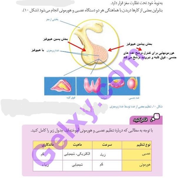 پاسخ فصل شش علوم هشتم  صفحه 7