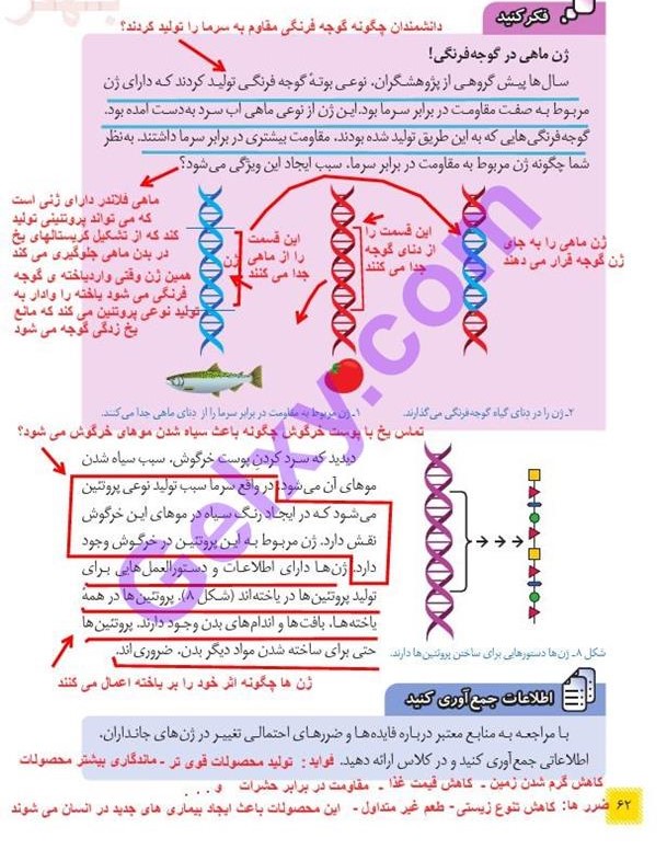 پاسخ فصل هفت علوم هشتم  صفحه 7