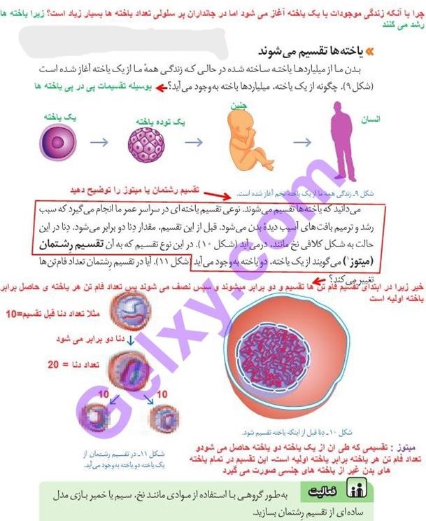 پاسخ فصل هفت علوم هشتم  صفحه 8