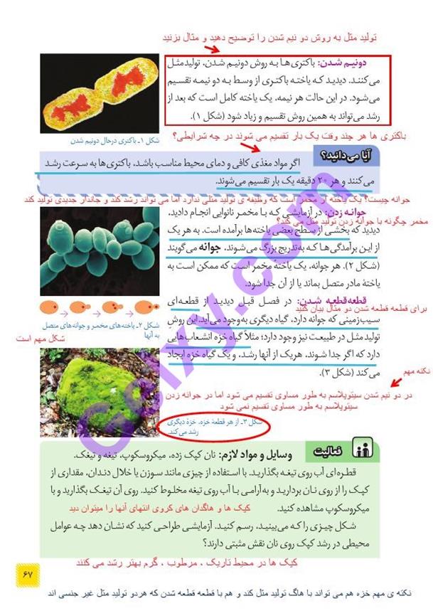 پاسخ فصل 8 علوم هشتم  صفحه 2