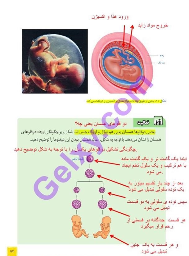 پاسخ فصل هشت علوم هشتم  صفحه 8