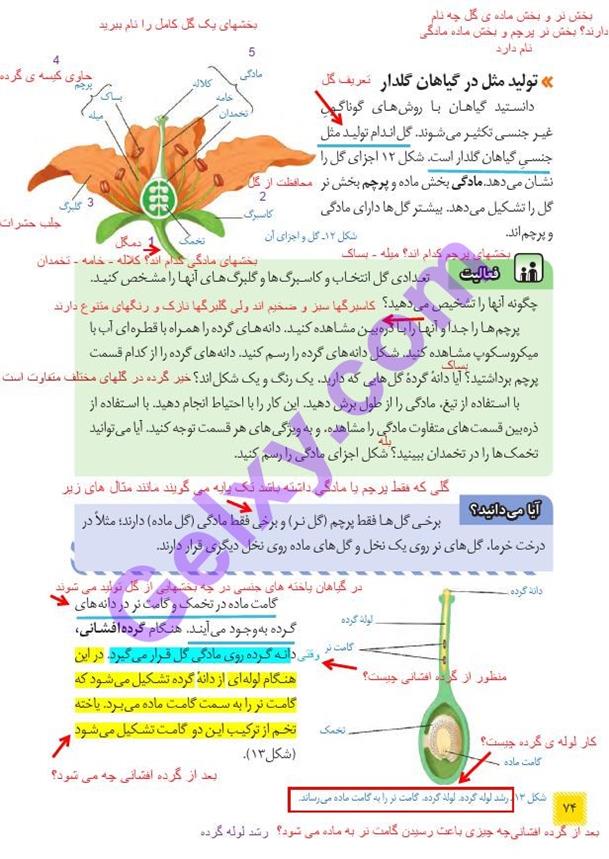 پاسخ فصل هشت علوم هشتم  صفحه 9