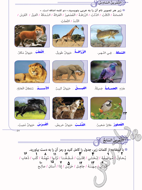 پاسخ درس پنج عربی نهم  صفحه 5