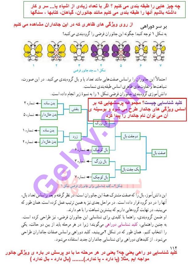 پاسخ فصل یازده علوم نهم  صفحه 1