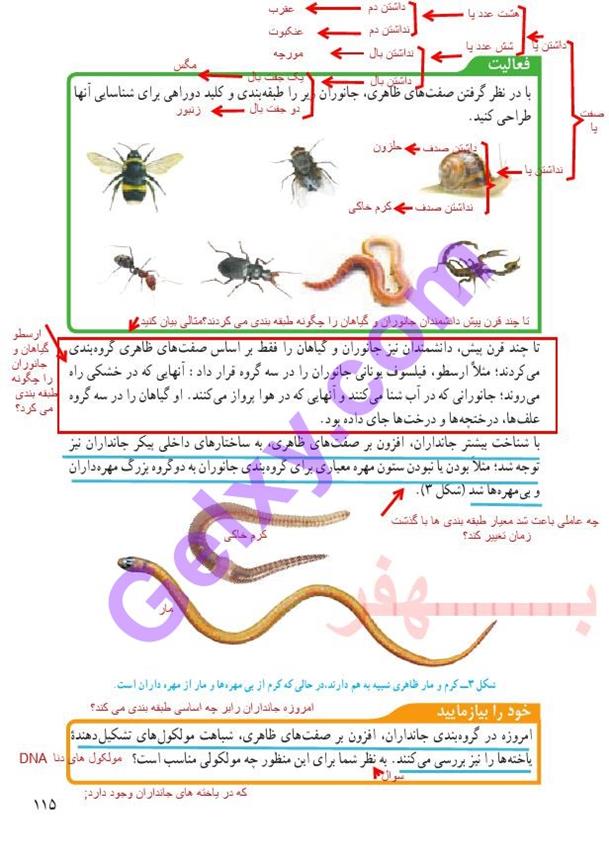 پاسخ فصل یازده علوم نهم  صفحه 2