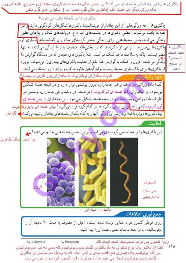 پاسخ فصل یازده علوم نهم  صفحه 5