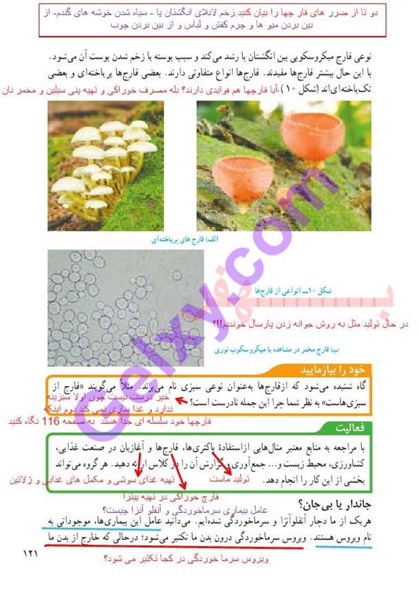 پاسخ فصل یازده علوم نهم  صفحه 8