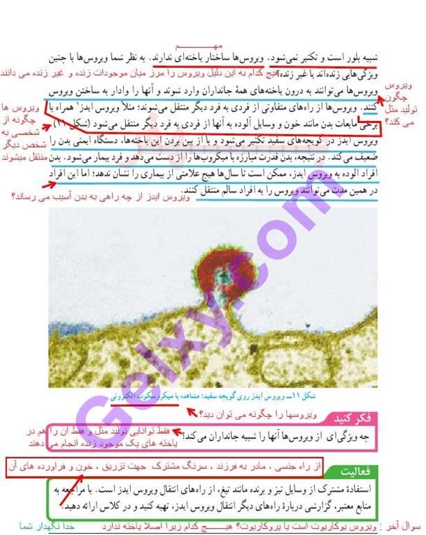 پاسخ فصل یازده علوم نهم  صفحه 9