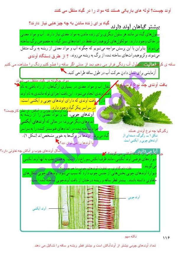 پاسخ فصل دوازده علوم نهم  صفحه 1