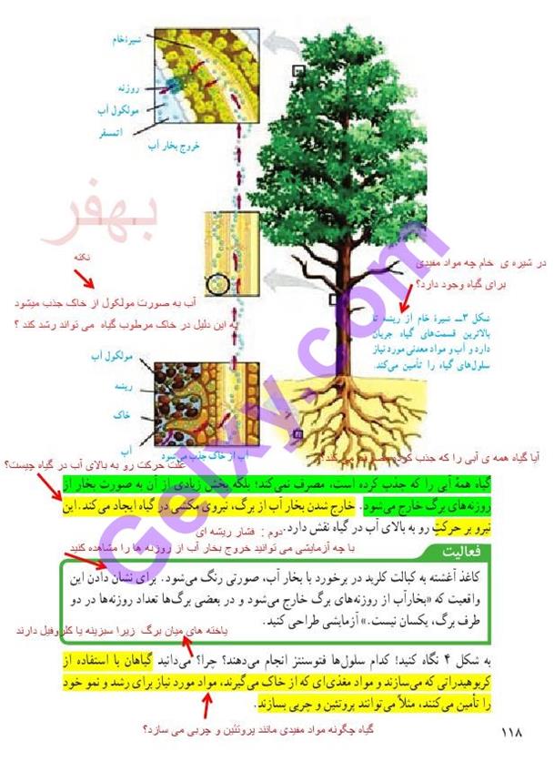 پاسخ فصل دوازده علوم نهم  صفحه 3